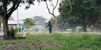Seguimos Trabajando en Unidad Con la Gente, Para Tener un Colima, Verde, Limpio y Bello: Riult Rivera