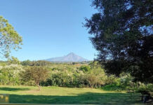 Volcán de Fuego Sigue Estable y en Calma; no Genera Riesgo: UEPC Colima