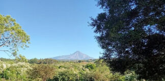 Volcán de Fuego Sigue Estable y en Calma; no Genera Riesgo: UEPC Colima