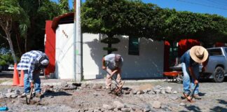 Gobierno de Riult Rivera Continúa Con la Campaña de Bacheo en la Capital