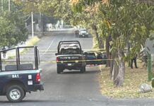 Policía Estatal de Colima Repele Agresión en Operativo: Hay un Presunto Responsable Detenido y Otro Fue Abatido