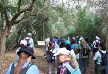 Avanza Desarrollo del Proyecto “UdeC Crucero | Territorio Biodiverso”, en Tecomán