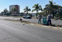 Cuadrilla de Parques y Jardines Realiza Labores de Limpieza en el Tercer Anillo Periférico