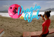 Emite Alerta Protección Civil de Presencia de Dragón Azul en Playas de Manzanillo