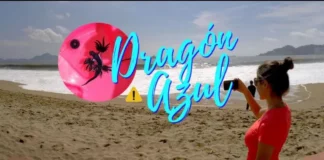 Emite Alerta Protección Civil de Presencia de Dragón Azul en Playas de Manzanillo