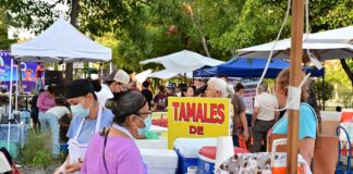 Familias Colimenses Disfrutan Con Éxito el Festival del Tamal y Atole 2026