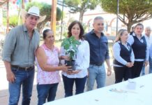 Gobierno del Estado de Colima Entregó Más de 5 Mil Cafetos a Habitantes de Minatitlán