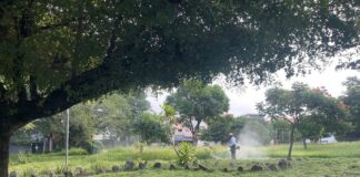 Ayuntamiento de Colima Mantiene Campaña Intensa de Limpieza y Embellecimiento del Municipio: Riult Rivera