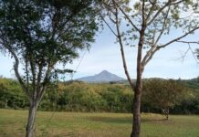 Volcán de Colima Mantiene Parámetros de Estabilidad: UEPC