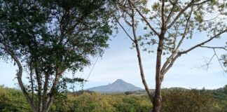 Volcán de Colima Mantiene Parámetros de Estabilidad: UEPC