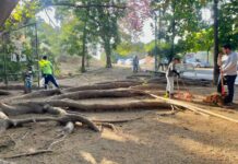 Ayuntamiento de Colima Realiza Brigada de Limpieza en Jardines de las Lomas