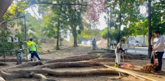 Ayuntamiento de Colima Realiza Brigada de Limpieza en Jardines de las Lomas