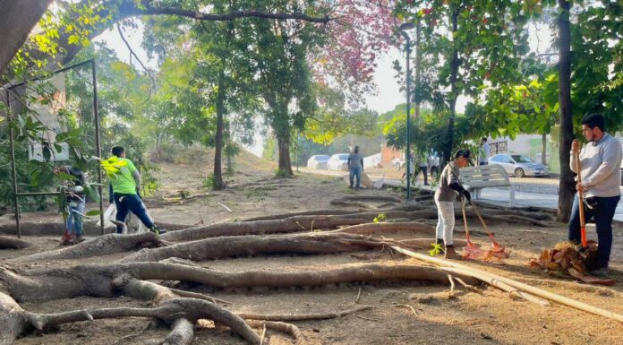 Ayuntamiento de Colima Realiza Brigada de Limpieza en Jardines de las Lomas