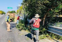 Gobierno de Riult Rivera Realiza Trabajos de Limpieza y Mejora Sobre Tercer Anillo
