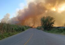 Se Registra Incendio de Tule en la Laguna de Zapotlán, Jal. Fue Controlado Por UEPCBJ