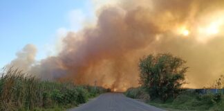 Se Registra Incendio de Tule en la Laguna de Zapotlán, Jal. Fue Controlado Por UEPCBJ