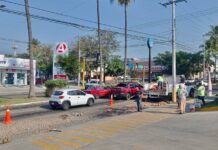 Cuadrilla de Bacheo de Colima Realiza Trabajos de Empedrado en la Avenida Constitución