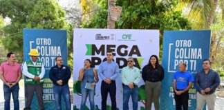 Presidente Riult Rivera Arranca Las Mega Podas Preventivas a la Temporada de Lluvias en la Avenida Gonzalo de Sandoval