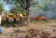 Brigada de Gobierno del Estado de Colima Está Lista Para Combatir Incendios Forestales