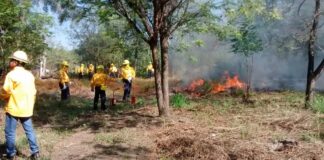 Brigada de Gobierno del Estado de Colima Está Lista Para Combatir Incendios Forestales