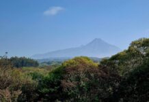 Volcán de Fuego Continúa en Calma y Con Riesgo Bajo: UEPC Colima