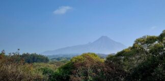 Volcán de Fuego Continúa en Calma y Con Riesgo Bajo: UEPC Colima