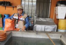 Continúa Estado de Colima en Zona de Seguridad Por Dengue, Informa Secretaría de Salud