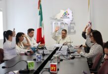 IEE Colima Desahoga Consulta de Movimiento Ciudadano y Registra a “Movimiento Democrático Local” Como Agrupación Política