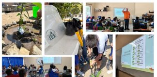 Fomenta IEE Colima Valores Democráticos Entre Las Infancias; Lleva Programa “Sembrando Valores” a Escuelas Primarias