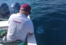 Playas Colimenses Son Aptas Para Uso Recreativo en Semana Santa y Pascua: Secretaría de Salud