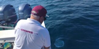 Playas Colimenses Son Aptas Para Uso Recreativo en Semana Santa y Pascua: Secretaría de Salud