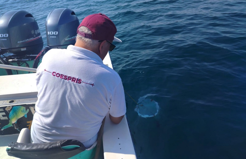 PLAYASCOLIMENSESSONAPTAS