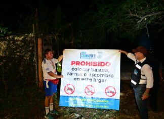 A Altas Horas de la Madrugada, Riult Rivera Concluye Los Trabajos de Poda y Luminarias en Moctezuma y Jardines del Sol