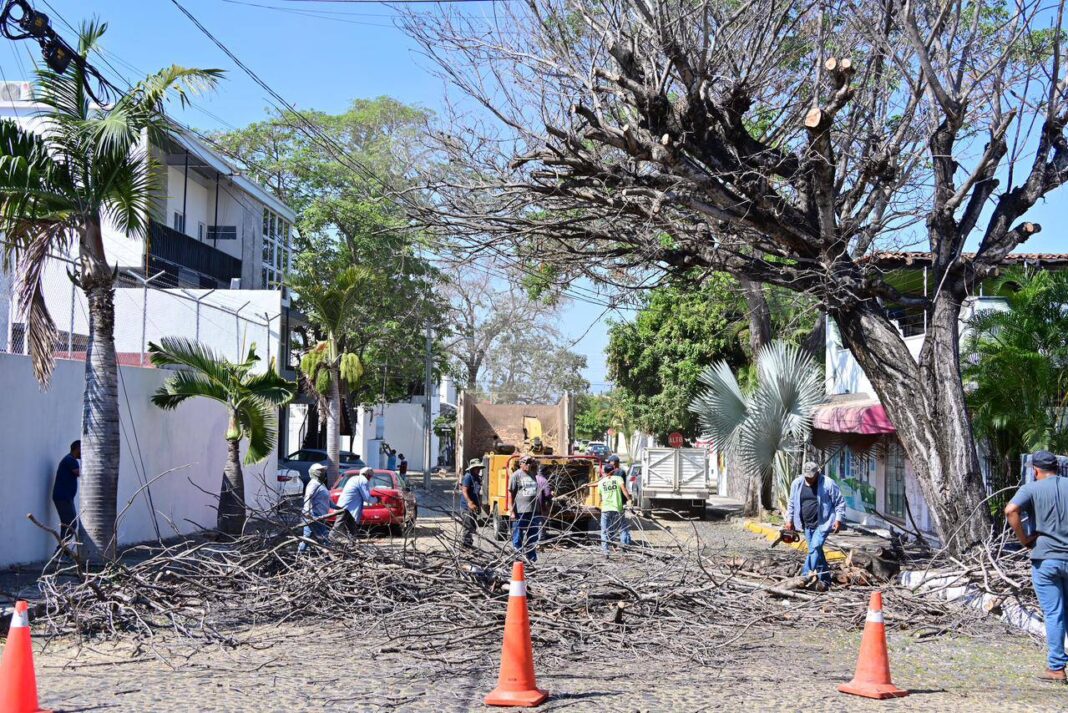 CUMPLERIULTCOMPROMISOS