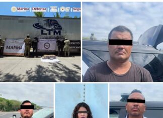 En Colima, Autoridades Federales Aseguran 60 Kilos de Cocaína Ocultos en Las Paredes de un Tractocamión