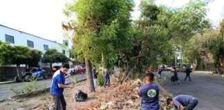 𝐂𝐀𝐑𝐄𝐀𝐃𝐈𝐂 𝐀𝐂 A𝐜𝐭𝐢𝐯𝐨 P𝐞𝐫𝐦𝐚𝐧𝐞𝐧𝐭𝐞 𝐞𝐧 L𝐚𝐬 B𝐫𝐢𝐠𝐚𝐝𝐚𝐬 𝐝𝐞 L𝐢𝐦𝐩𝐢𝐞𝐳𝐚 𝐞𝐧 𝐥𝐚 C𝐚𝐩𝐢𝐭𝐚𝐥