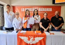IEE da la Razón a Movimiento Ciudadano y Ordena Retiro de Propaganda Anticipada de Rosa María Bayardo y Morena