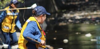 Gracias a Labores de Prevención, Colima Acumula Más de 20 Años Sin Paludismo: Salud