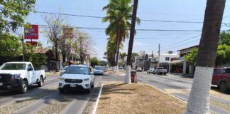 Trabajamos Como Sindicato Para Rehabilitar Camellones y Áreas Verdes en Colima: Arturo León Alam