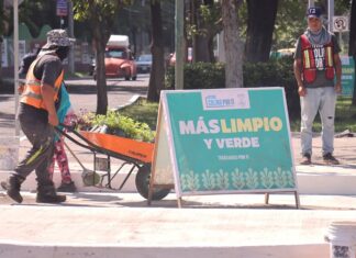 Por un Colima Más Verde: Riult Rivera y la Participación Ciudadana Impulsan el Programa “Colima Verde y Vivo”