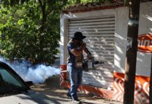 Estado de Colima se Mantiene Sin Casos de Dengue en 2026: SS