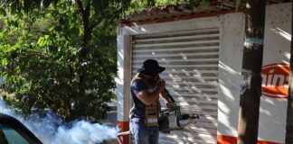 Estado de Colima se Mantiene Sin Casos de Dengue en 2026: SS