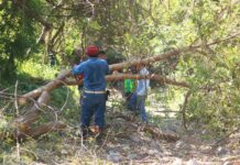 Alcalde Riult Rivera, Anuncia Que el Ayuntamiento de Colima se Prepara Para la Temporada de Lluvias