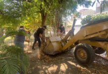 Continúa Gobierno de Riult Rivera Trabajando en Territorio y Refuerzan Limpieza en Colonias