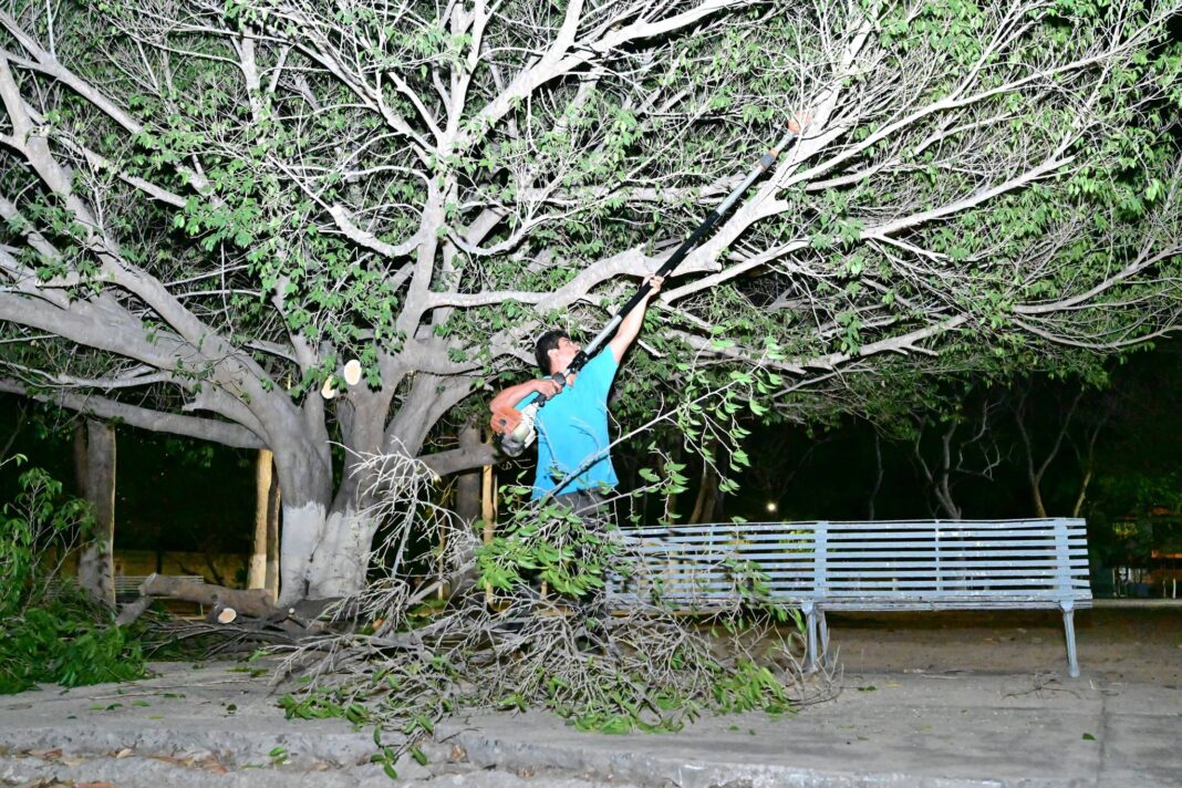 HOYCARDONAILUMINADA