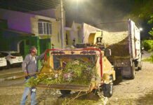 Riult Rivera Continua Los Trabajos de Poda y Deja Iluminada al 100%, la Colonia Jardines Vista Hermosa lll