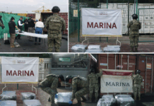 Marina Asegura Bultos Con Presunto Clorhidrato de Cocaína, en el Recinto Portuario de Manzanillo