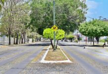 Mejora Gobierno de Riult Rivera Imagen Urbana en Principales Avenidas de Colima