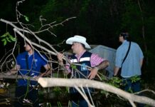 Riult Rivera Continúa Con el Programa de “Patrullaje Nocturno” en Rincon del Colibrí, se Ilumina al 100%