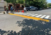 Refuerzan Seguridad Vial en la Calle Medellín Con Rehabilitación de Señalética y Pintura